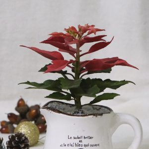 Handmade red poinsettia