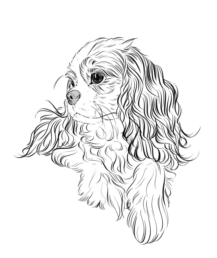 Custom Line Art Pet Portrait from Your Photo – Crealandia