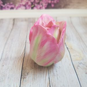 Silicone mold 3D Tulip opened bud for soap, candles FREE SHIPPING