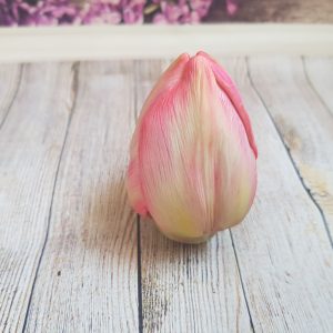 Silicone mold 3D Tulip closed bud for soap, candles FREE SHIPPING