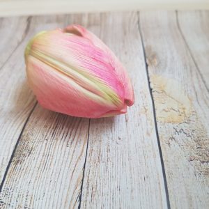 Silicone mold 3D Tulip closed bud for soap, candles FREE SHIPPING
