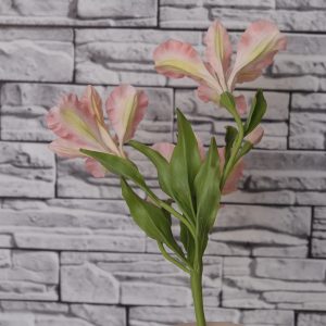 alstroemeria branch