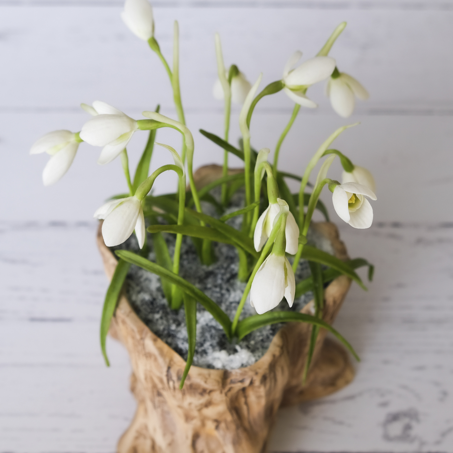 White cold porcelain flowers snowdrop gifts - Crealandia