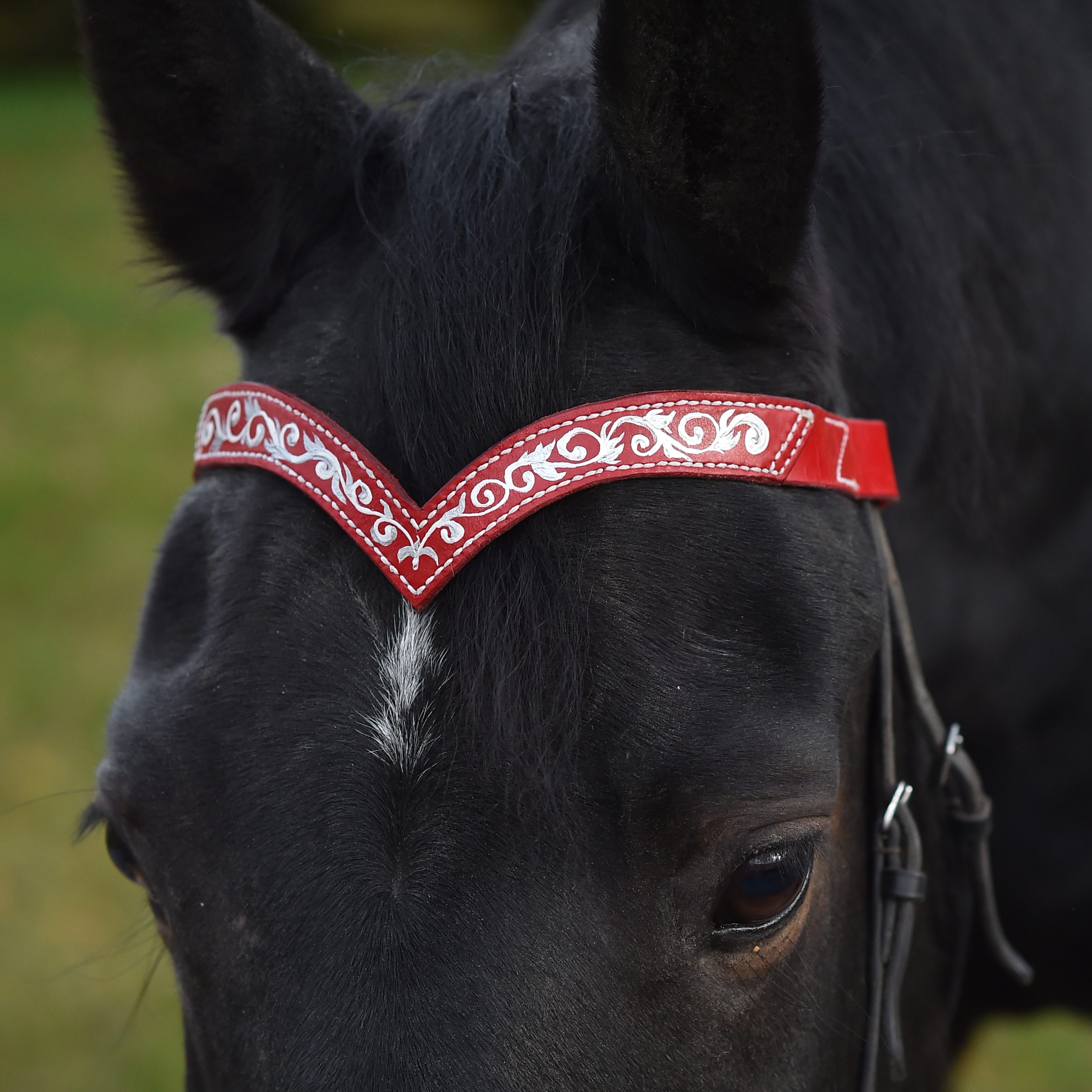 Black leather browband for horses draft pony. Handmade