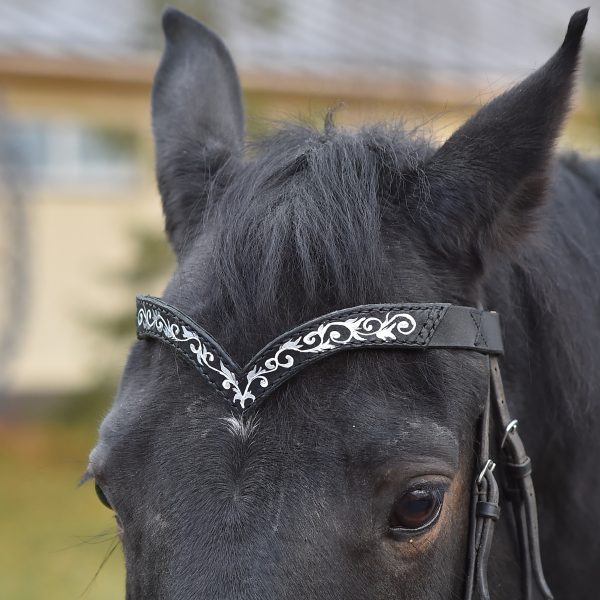 leather browband for horses draft pony. Handmade Brow band with hand-paint
