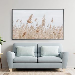 Samsung Frame TV art Pampas Grass landscape 529