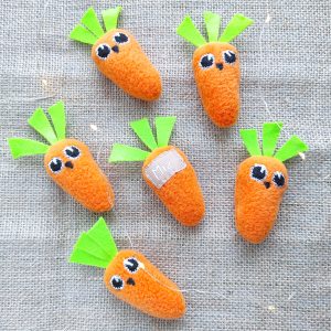 Carrot cat toy, catnip cat toy, vegetable cat toy, cat birthday gift