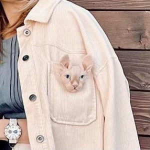 Woolen Sphynx cat brooch. Custom pet portrait from photo