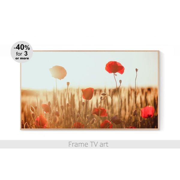 Samsung Frame TV art flowers poppies 513
