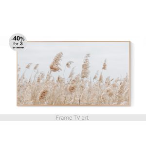 Samsung Frame TV art Pampas Grass landscape 529