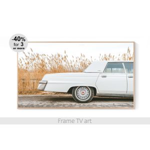 Samsung Frame TV art retro car pampas grass landscape 540