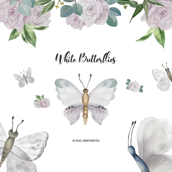 watercolor white butterfly