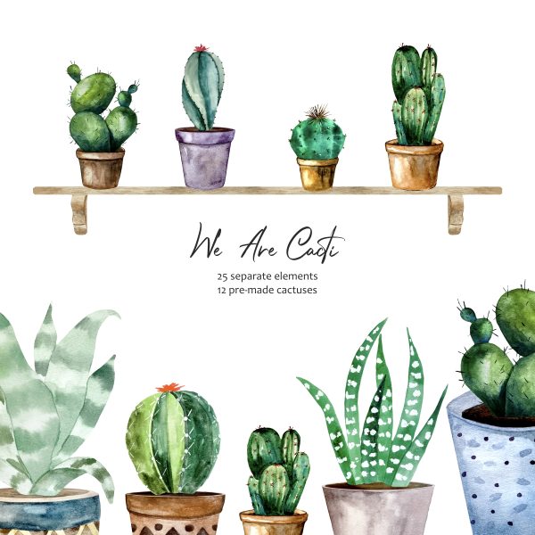 Watercolor Cacti, Cactuses Succulent in Pots