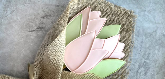 CookiesLessons store banner