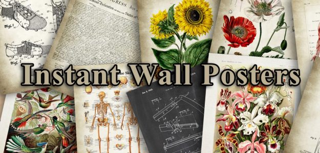 Instant Wall Posters
