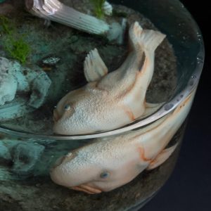 Blobfish meet David, Resin Diorama test v.1