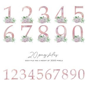 Watercolor Pink Digits With Flowers, Floral Numbers 0-9