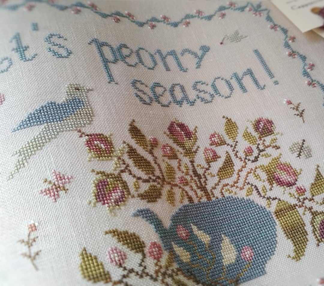 its-peony-season-pattern