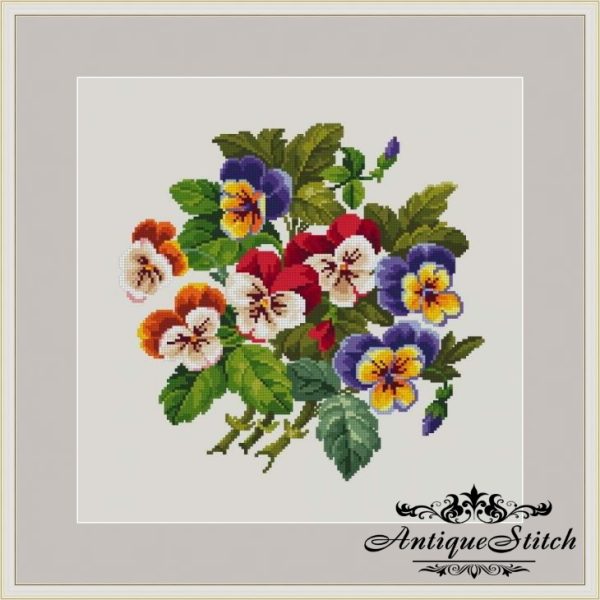 pansies