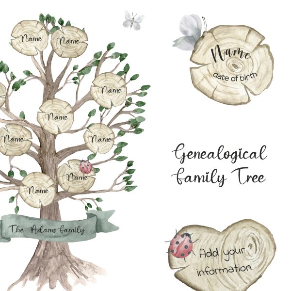 Watercolor Family Genealogical Tree Clipart