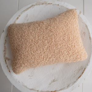 Newborn boy beige bear hat and pillow photography prop set up