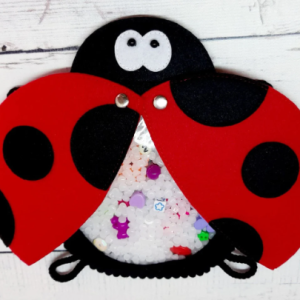 I spy bag Pattern, I spy bag ladybug for toddlers