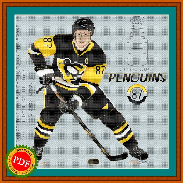 Hockey Player