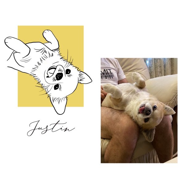 Custom pets portrait, digital art, gift for friends