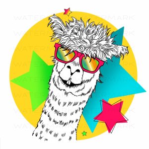 Funny Llama illustration, png sublimation,digital art design