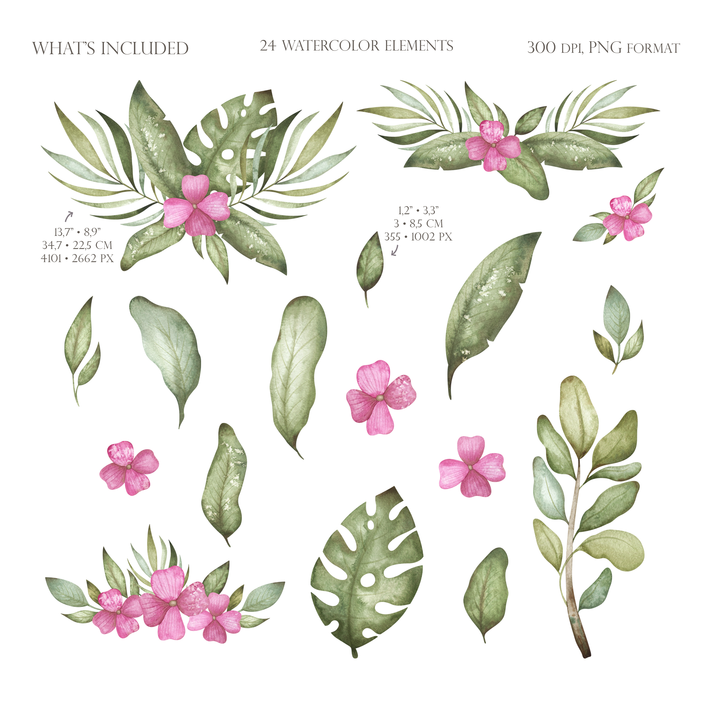 Watercolor Sloth Clipart Vintage Cute Animal Characters