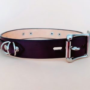 Lockable bdsm collar