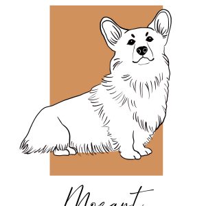 Custom pets portrait, png illustration,memory of your pet