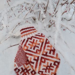 mittens with a pattern