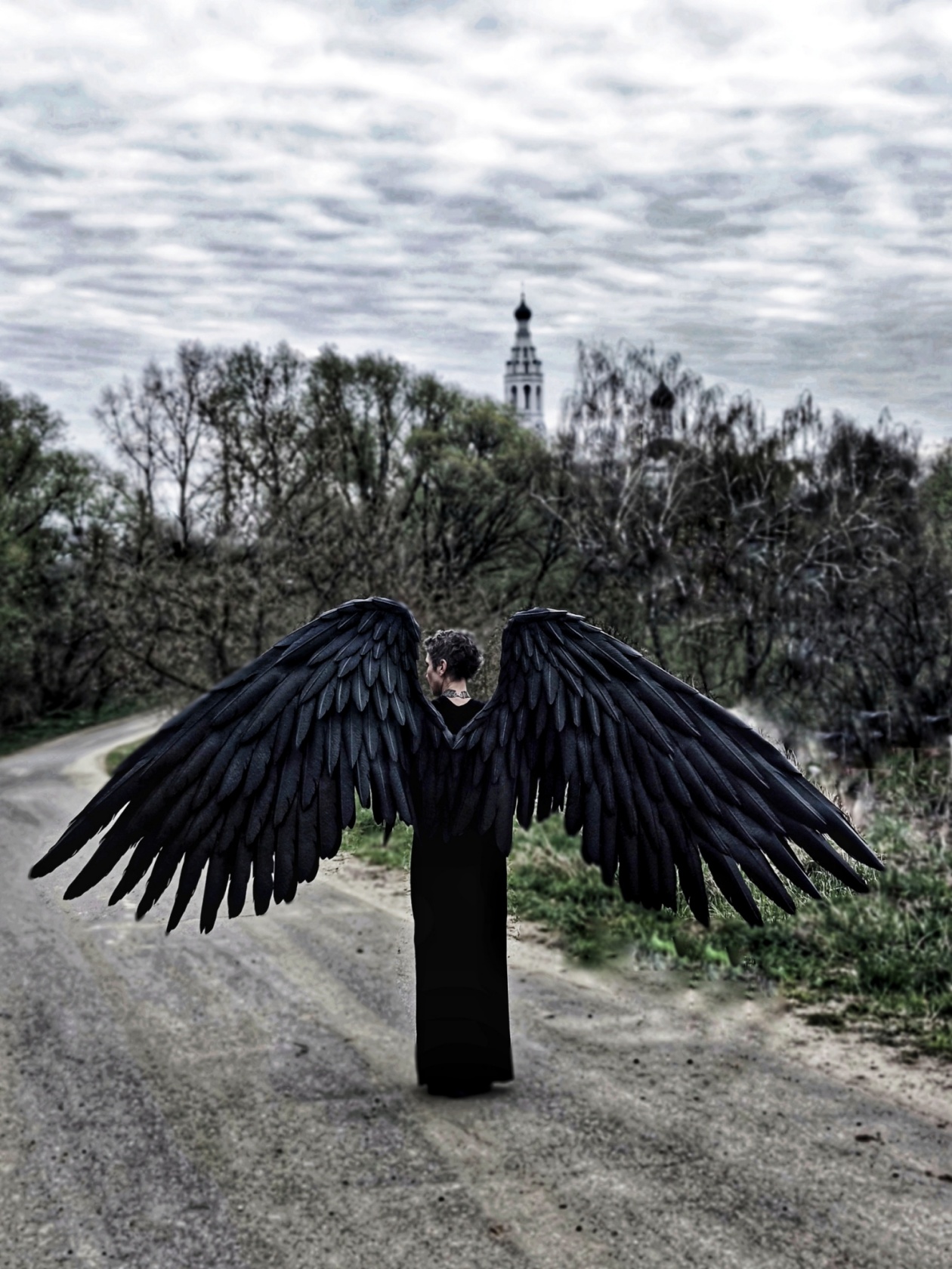 Black Wings, Black Angel Wings, Halloween Wings, Maleficent Wings