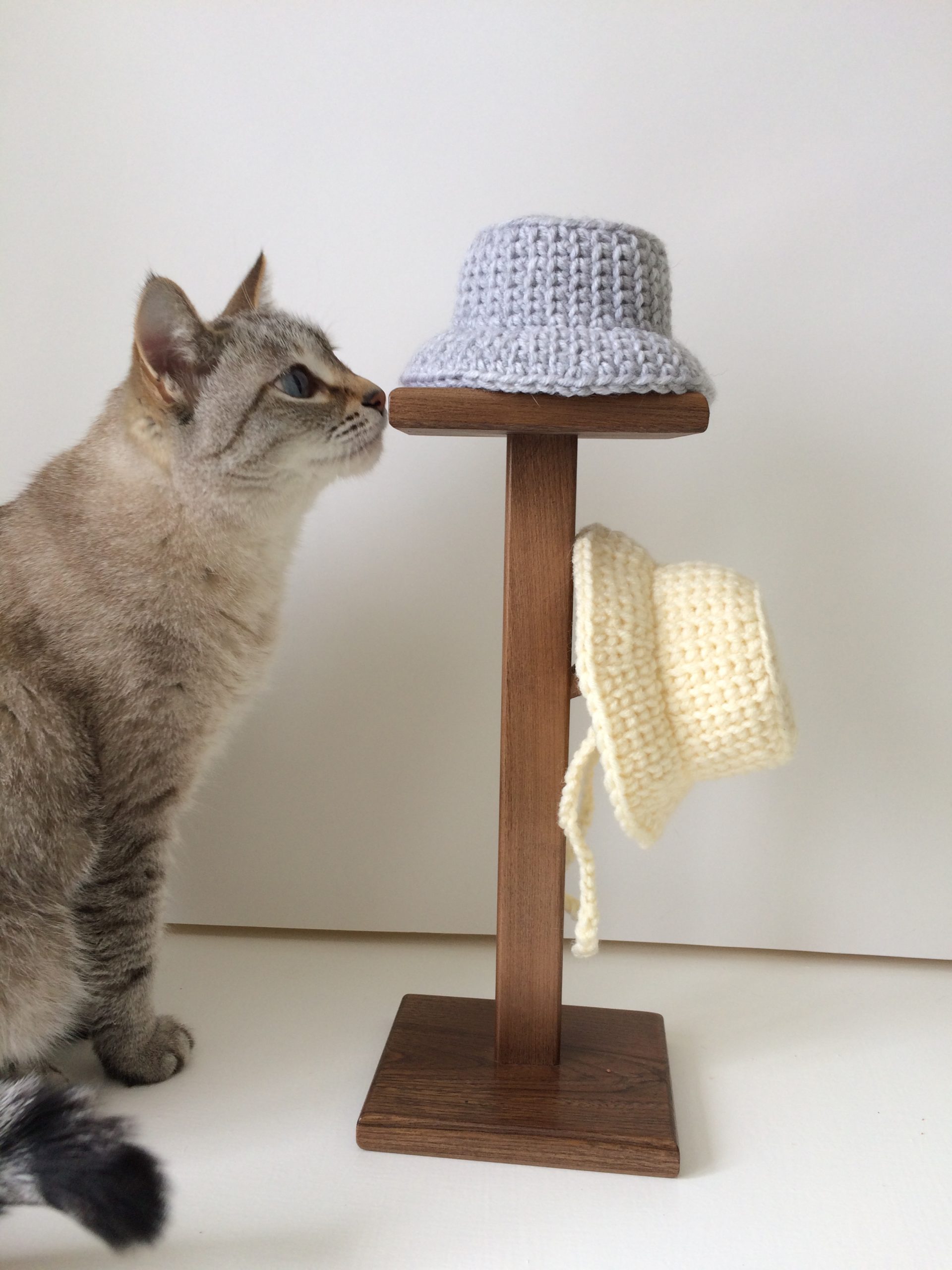 Bucket cat hat Easy Crochet Pattern cat hat.
