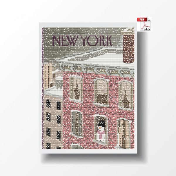 New york. Snow.