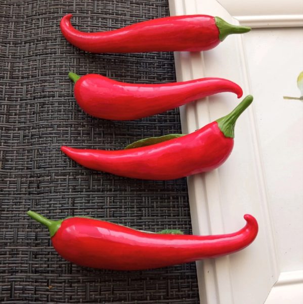Brooch red pepper pin
