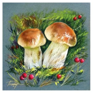 mushrooms drawing