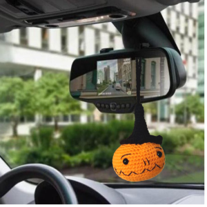 Pumpkin Car accessories.