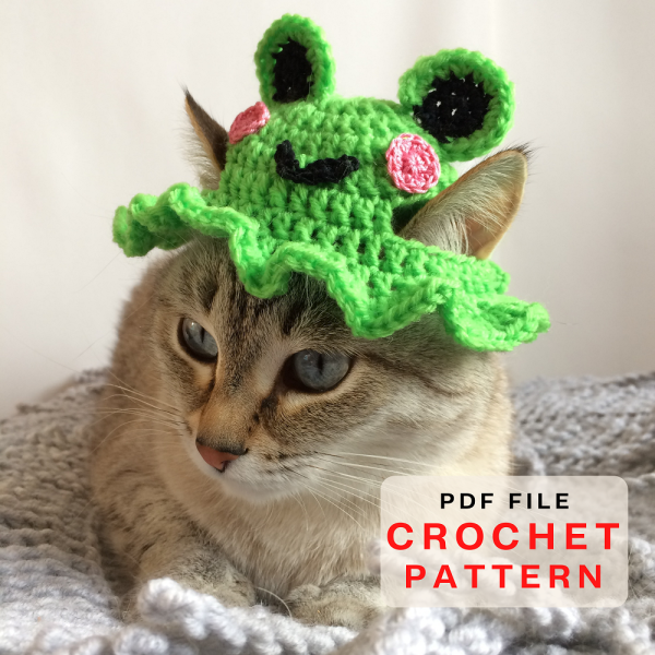 Cat hat frog