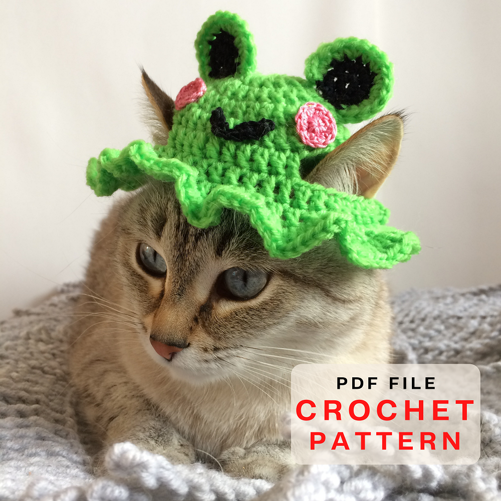 Cat frog hat Easy crochet pattern Funny hat for pet