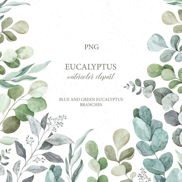 eucalyptus clip art