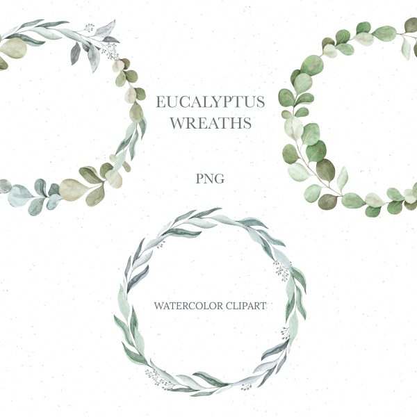 eucalyptus frame clipart
