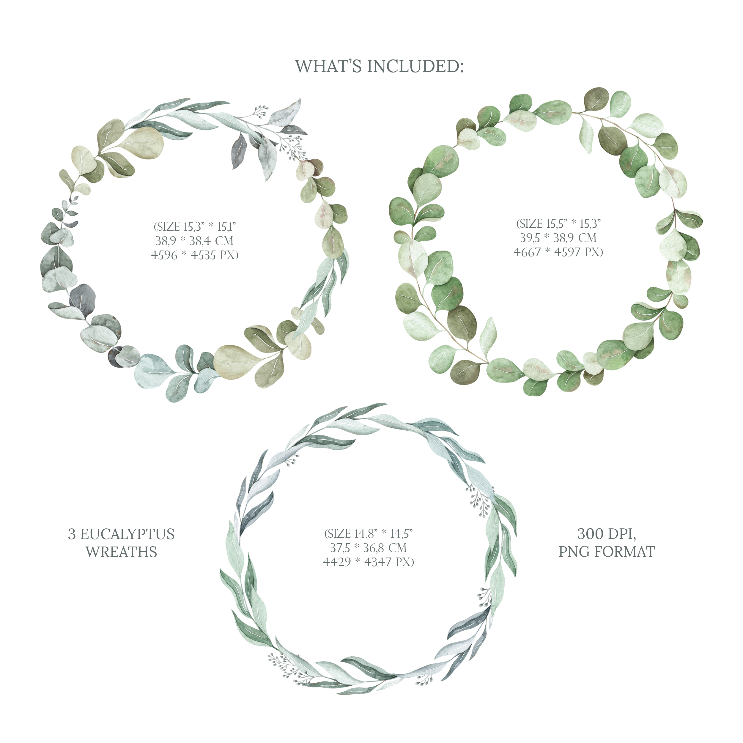 Watercolor eucalyptus wreaths. Floral frame clipart 2 Watercolor eucalyptus wreaths. Floral frame clipart - Image 2