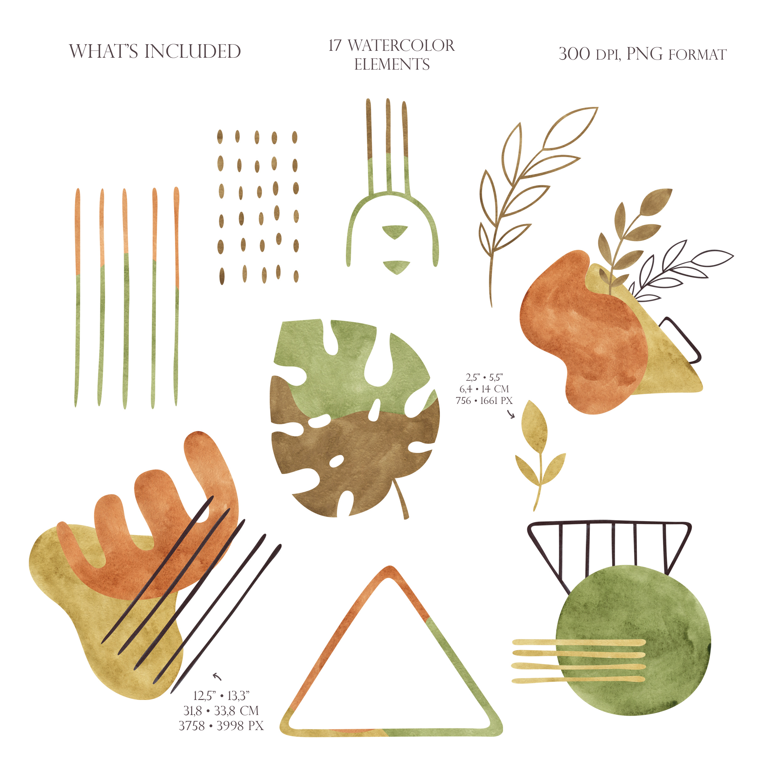 Watercolor modern abstract shapes clipart. Botanical compositions 2 Watercolor modern abstract shapes clipart. Botanical compositions - Image 2