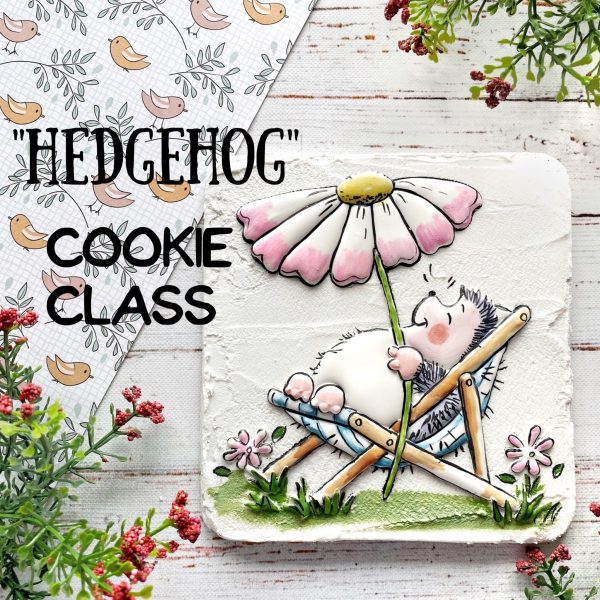 Cookie - Hedgehog