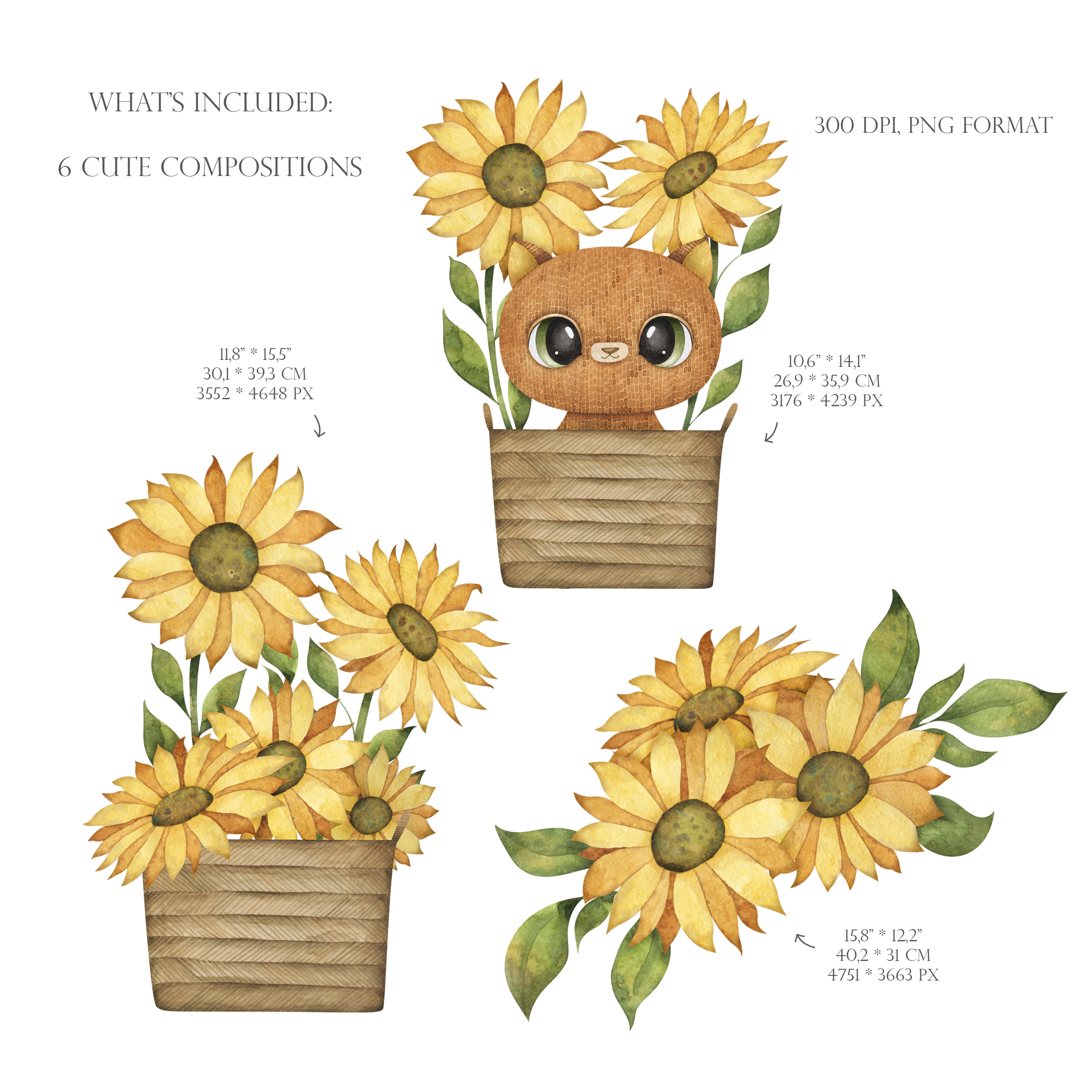 Sunflower arrangements with cat. Cute kitten and flowers clip art 3 Sunflower arrangements with cat. Cute kitten and flowers clip art - Image 3