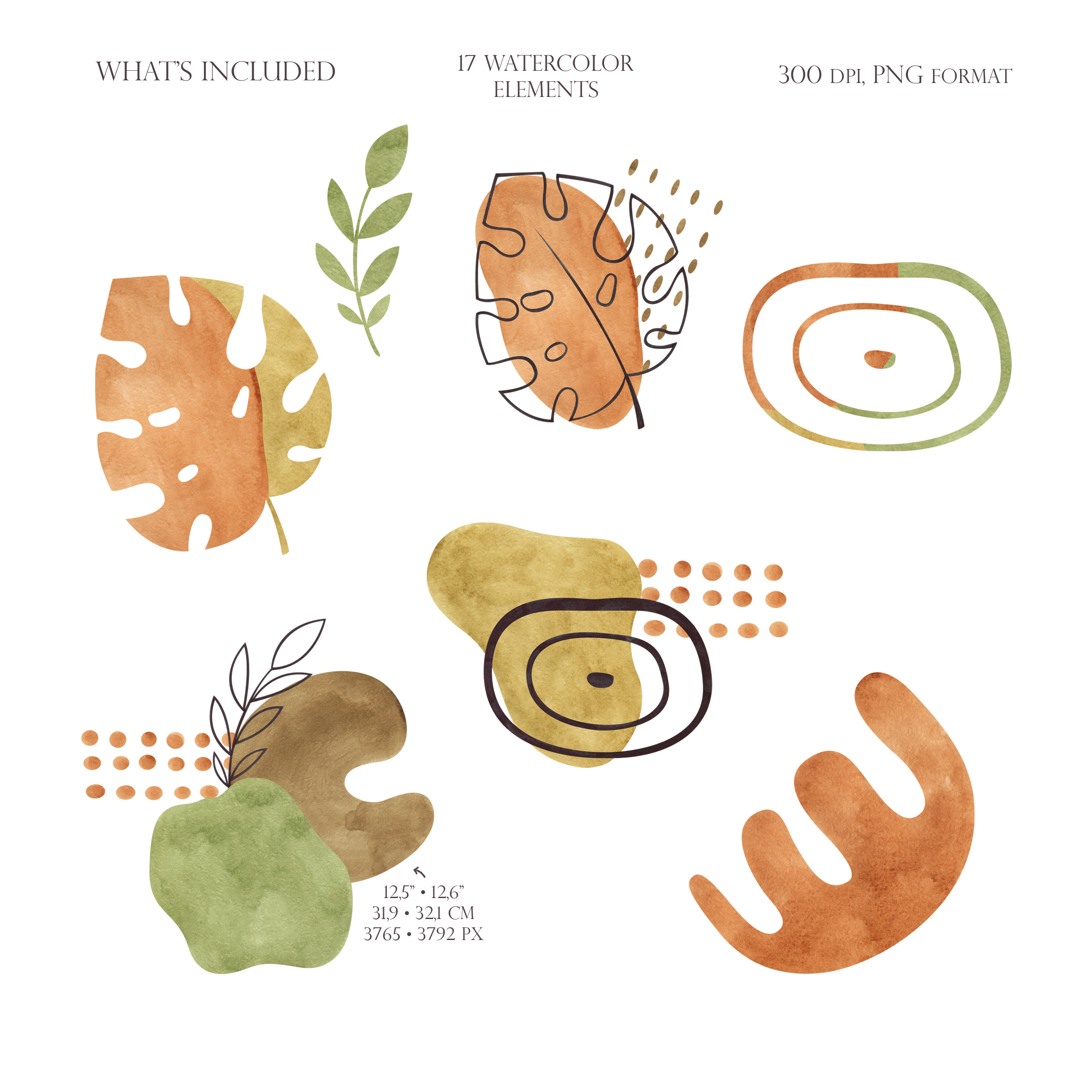Watercolor modern abstract shapes clipart. Botanical compositions 3 Watercolor modern abstract shapes clipart. Botanical compositions - Image 3