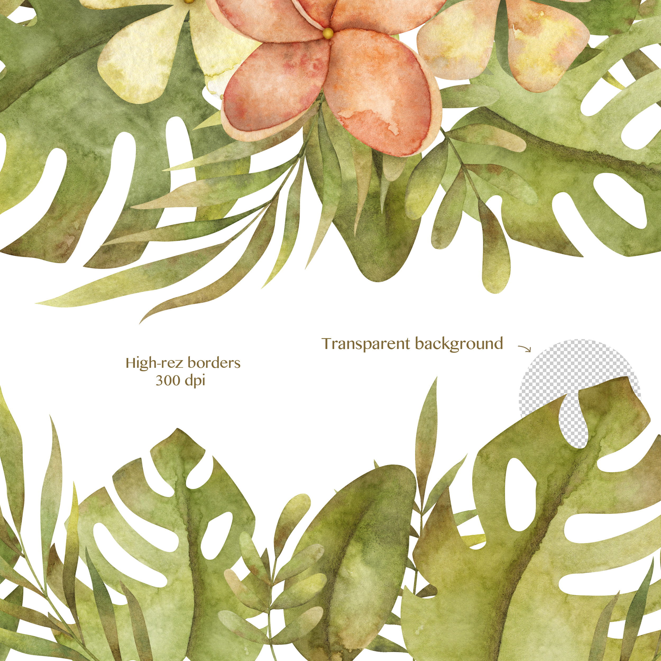 Watercolor jungle border clipart. Summer floral frame and wreath 4 Watercolor jungle border clipart. Summer floral frame and wreath - Image 4