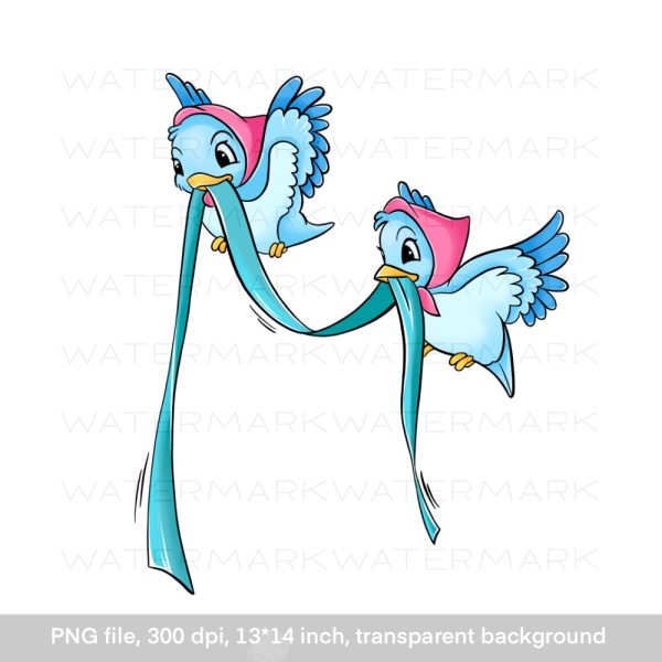Two birds in headscarves and with a ribbon / Blue birds
